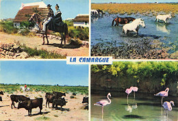 13 LA CAMARGUE LES GARDIANS - Autres & Non Classés