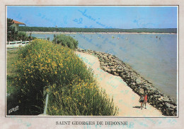 17 SAINT GEORGE DE DIDONNE  - Saint-Georges-de-Didonne