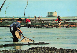 17 ILE D OLERON  - Ile D'Oléron