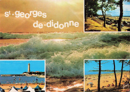 17 SAINT GEORGE DE DIDONNE  - Saint-Georges-de-Didonne