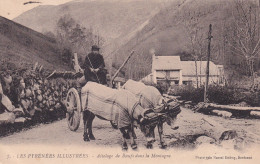 PYRENEES ATLANTIQUES(TYPE) ATTELAGE DE BOEUF - Autres & Non Classés