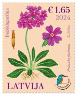 Latvia Lettland Lettonie 2024 Nature Fund Bird’s-eye Primrose Flower Stamp MNH - Latvia
