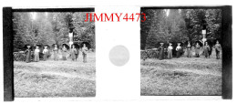 Une Grande Famille Dans Un Bois, à Identifier - Plaque De Verre En Stéréo - Taille 44 X 107 Mlls - Diapositiva Su Vetro