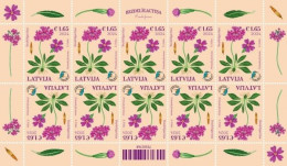 Latvia Lettland Lettonie 2024 Nature Fund Bird’s-eye Primrose Flower Sheetlet MNH - Other & Unclassified