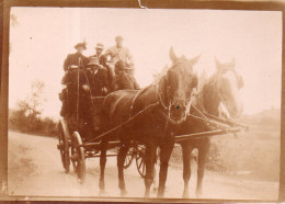 Photographie Vintage Photo Snapshot Attelage Charrue Cheval Groupe Horse - Treinen