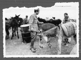 °°° Fotografia N. 6046 - Militari °°° - Guerre, Militaire