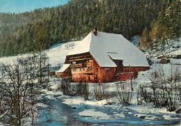 Germany Im Schwarzwald Rustic Cottage - Other & Unclassified