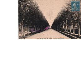 CPA  - CHATOU 78 - L'Avenue Des Tilleuls - Chatou