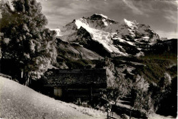 Wengen - Blick Gegen Jungfrau (3102) * 30. 6. 1958 - Wengen