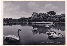 Cartolina Caserta - Parco Reale - Laghetto - Caserta