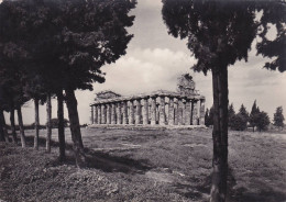 Cartolina Pasteum ( Salerno ) Tempio Di Cerere - Salerno