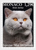 MONACO 2024 EVENTS Fauna. Animals. International Cat Show - Fine Stamp MNH - Nuevos