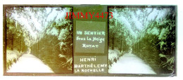 ROYA - Un Sentier Sous La Neige - Henri Barthélemy La Rochelle - Plaque De Verre En Stéréo - Taille 44 X 107 Mlls - Diapositiva Su Vetro