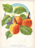 Abricots - Altri & Non Classificati