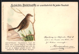 AK Nachtigall Auf Einem Ast, Reklame Für Schichts Bleichseife  - Birds
