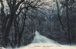 FRANCE - Cognac - Parc François Ier - Le Pont - Carte Postale Ancienne - Cognac