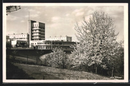 AK Stuttgart, Am Weissenhof, Höhenrestaurant Und Cafe Schönblick, Bauhaus  - Autres & Non Classés