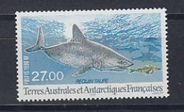 AAF 1998 Requin Taupe 1v ** Mnh (60033) - Ungebraucht