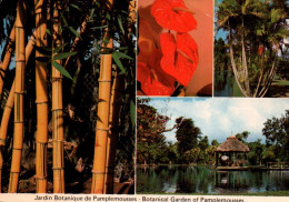 CPM - ILE MAURICE - Jardin Botanique De Pamplemousses ... Edition Technic Studio (Affranchissement TP) - Mauritius