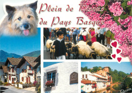 64 PAYS BASQUE  MULTIVUES - Other & Unclassified