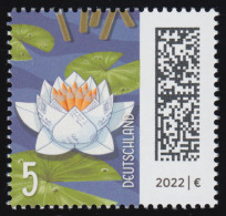 3644II Welt Der Briefe: Seebriefrose 5 Cent, Nassklebend, Raster 75/15 Grad, ** - Unused Stamps