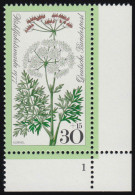 949 Wiesenblumen 30+15 Pf Kümmel ** FN1 - Unused Stamps