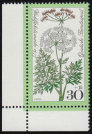 949 Wiesenblumen 30+15 Pf Kümmel ** Ecke U.l. - Unused Stamps