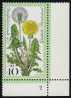 950 Wiesenblumen 40+20 Pf Löwenzahn ** FN2 - Unused Stamps
