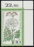 949 Wiesenblumen 30+15 Pf Kümmel ** Ecke O.r. - Unused Stamps