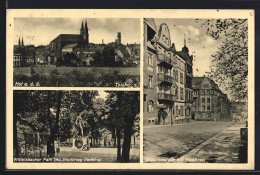 AK Hof A. D. S., Sophienstrasse Mit Parkhotel, Wittelsbacher Park Mit Weltkrieg-Denkmal, Totalansicht  - Other & Unclassified