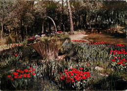 85 LA TRANCHE SUR MER LES FLORALIES - La Tranche Sur Mer