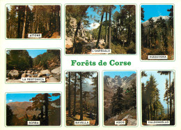 20 FORET DE CORSE MULTIVUES  - Autres & Non Classés