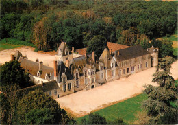 41 BRACIEUX LE CHÂTEAU DE VILLESAVIN  - Other & Unclassified