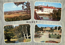 31 MURET MULTIVUES - Muret