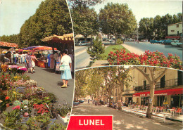 34 LUNEL MULTIVUES  - Lunel