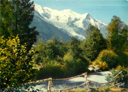 74 MASSIF DU MONT BLANC L'ARVE VUS DES PRAZ  - Autres & Non Classés