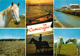 13 EN CAMARGUE MULTIVUES  - Autres & Non Classés