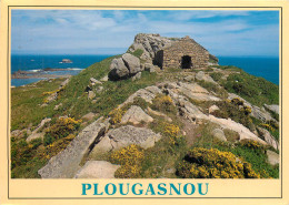 29 PLOUGASNOU  - Plougasnou