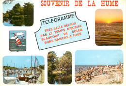 33 SOUVENIR DE LA HUME TELEGRAMME - Other & Unclassified