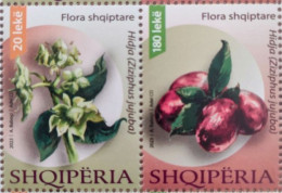 Albania - 2023 - Flora Of Albania - Ziziphus Jujuba - Mint Stamp Set - Albanie