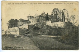 CPA 9 X 14 Ain  CEYZERIEU Château Féodal De Grammont, Construit En L'an 950 - Unclassified