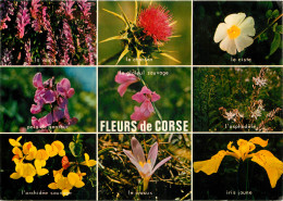 20 FLEURS DE CORSE  - Autres & Non Classés