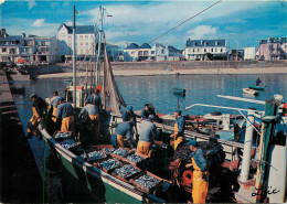 56 QUIBERON  - Quiberon