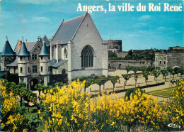 49 ANGERS - Angers