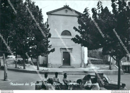 Cd141 Cartolina Madonna Dei Fornelli Santuario Provincia Di Bologna - Bologna