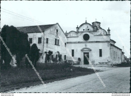 Cd171 Bozza Fotografica Terrassa Padovana Santuario Bv Della Misericordia Padova - Padova (Padua)