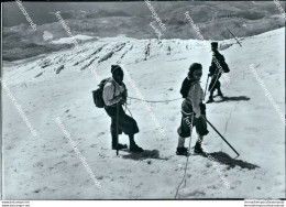 Cd192 Bozza Fotografica Gruppo Del Cervino E Monte Rosa Aosta - Aosta