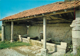 88 VOSGES UN VIEUX LAVOIR - Altri & Non Classificati