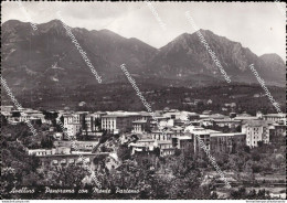 Ah784 Cartolina Avellino Citta' Panorama Con Monte Partenio Campania - Avellino