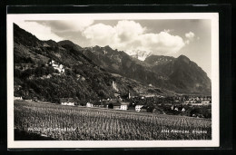 AK Vaduz, Panorama  - Liechtenstein